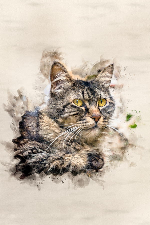 Monsanto Stray Cat Watercolor Digital Art by Luis G Amor - Lugamor