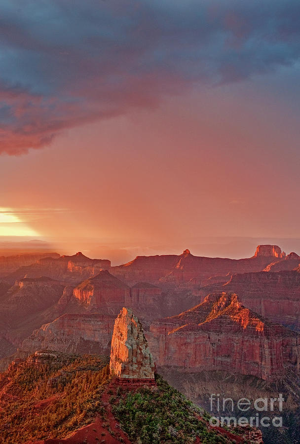 Monsoon Rain North Rim Grand Canyon Arizona Photograph by Dave Welling