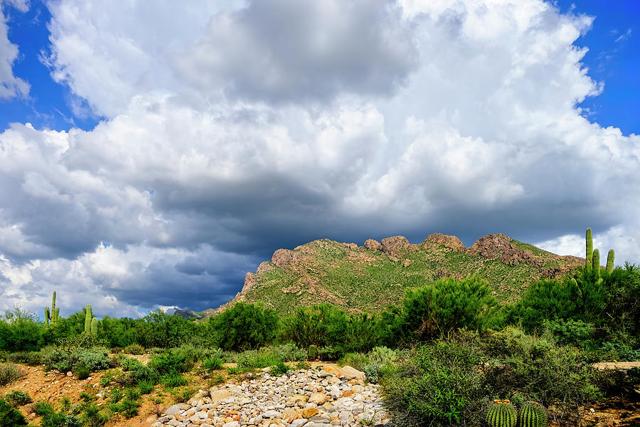 Monsoon Valley Vista 24464 Photograph by Mark Myhaver