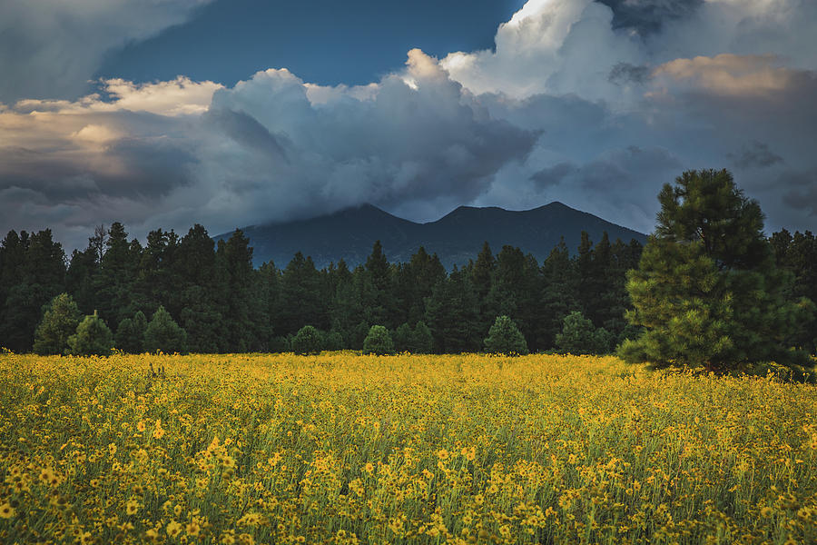 Monsoons in Flagstaff Photograph by Ryan Lima