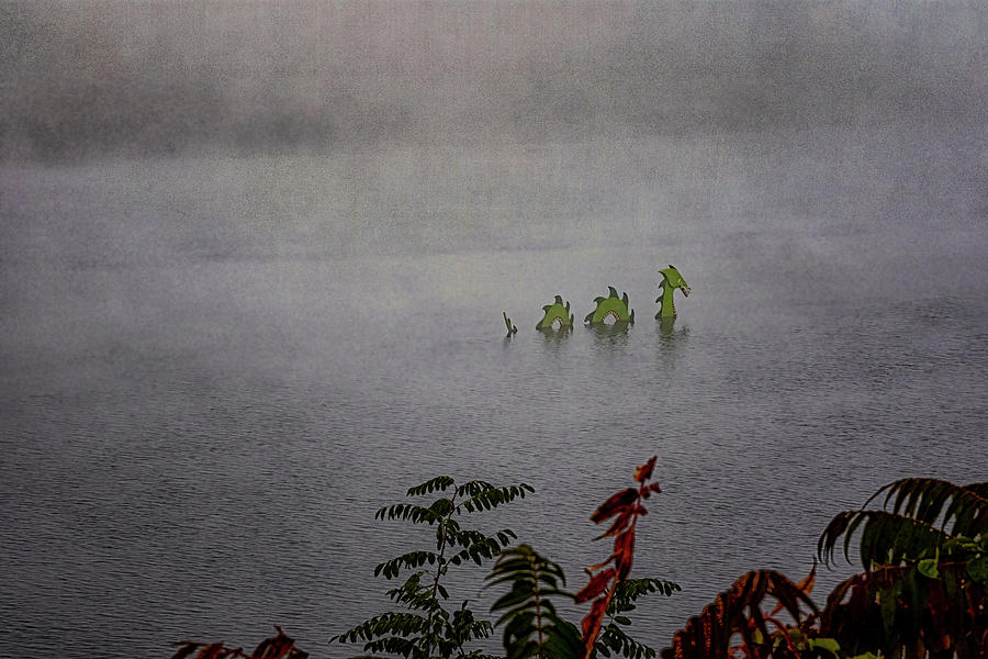 Monster In The Mist Photograph by Tom Singleton