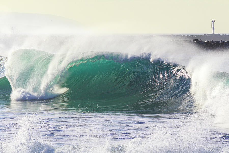 Monster Wave at The Wedge - Image 2 Photograph by Daniel Politte