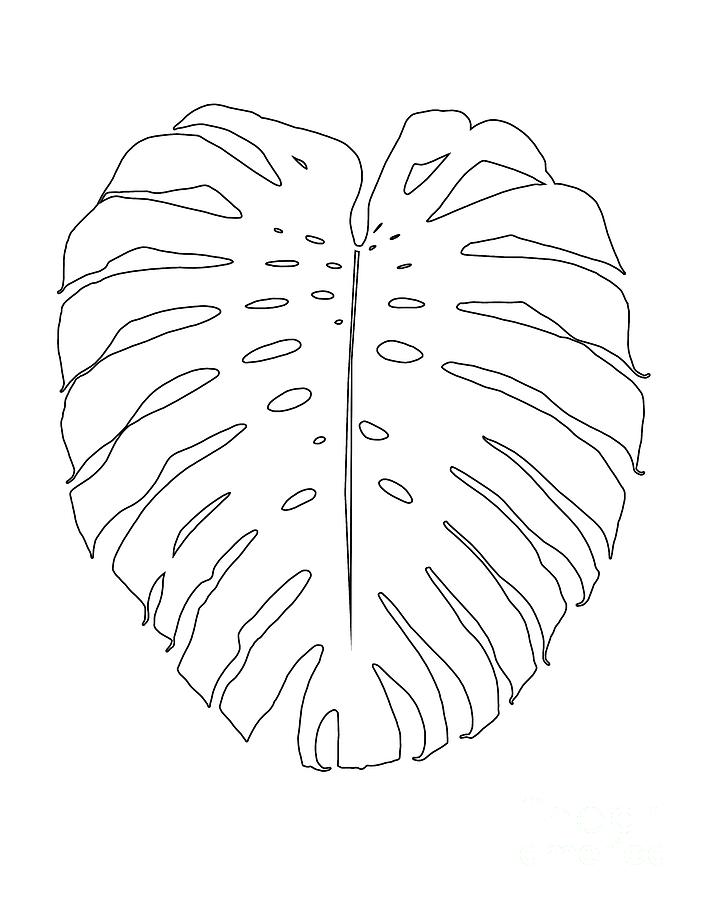 Monstera Leaf Finesse Line Art #1 #minimal #decor #art Digital Art by ...