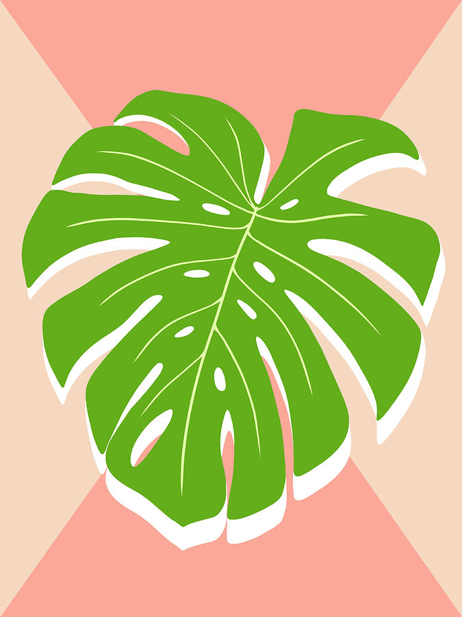 Monstera Leaf Digital Art by Michelle Petrash - Fine Art America