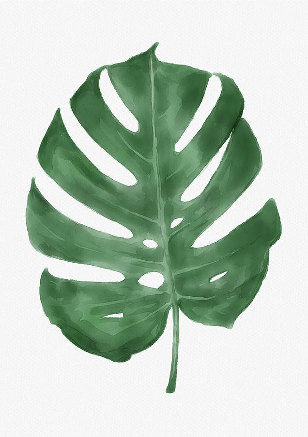 Monstera leaf Painting by Stig Kristensen - Fine Art America