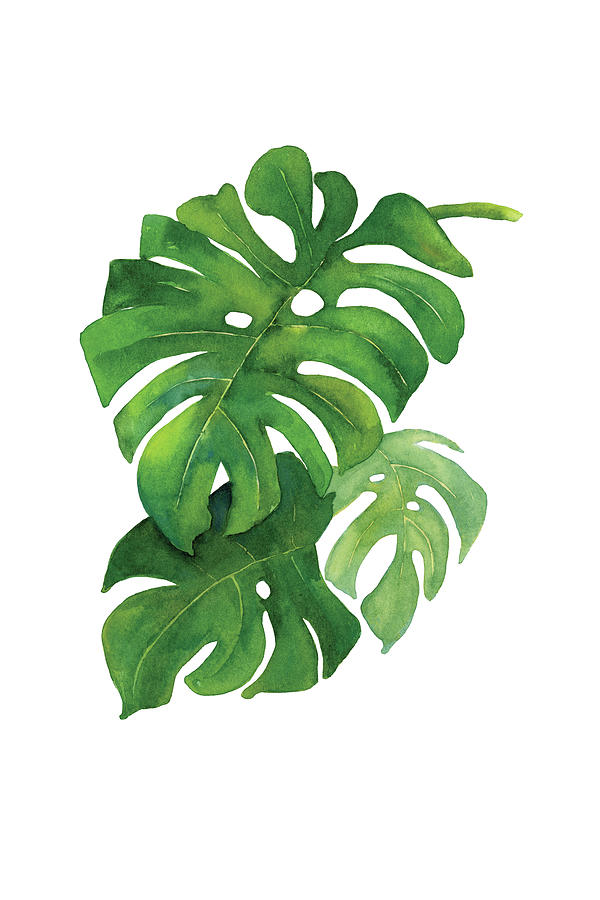 Monstera Leaves Painting by Jo-ann Dziubek-MacDonald - Fine Art America