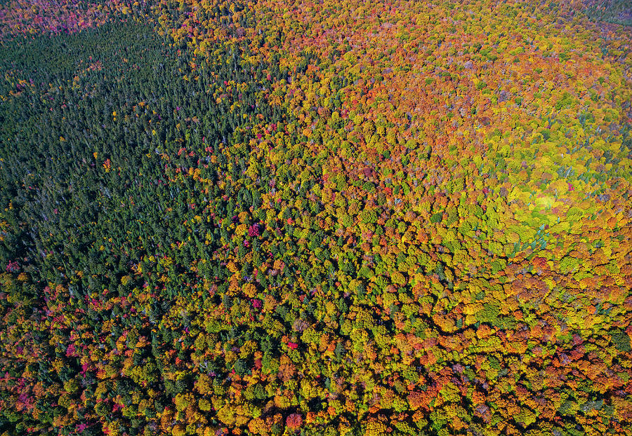 Mont Tremblant National Park, Aerial View Photograph