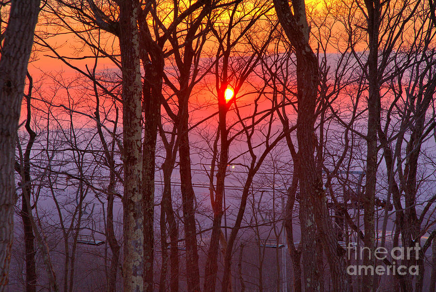 Montage Mountain Sunset Through The Trees Photograph by Adam Jewell