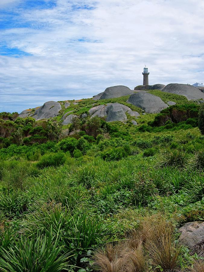 Montague Island Lighthouse - Australia 5 Photograph by Steven Ralser