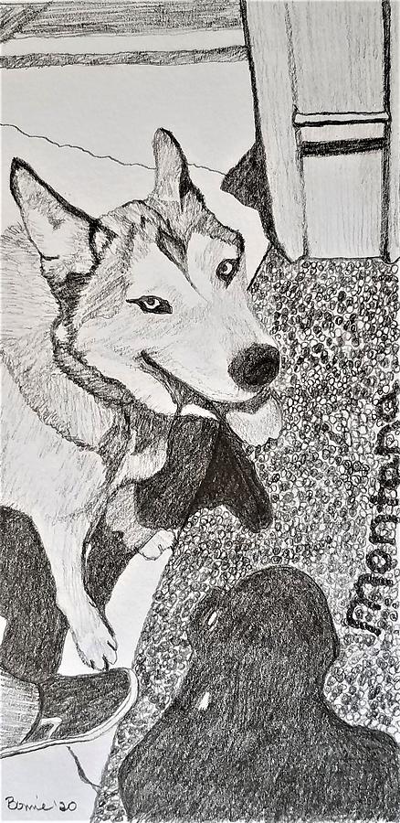 Dog Drawing - Montana by Bonnie McKeegan Dog Drawing - Montana by Bonnie McKeegan