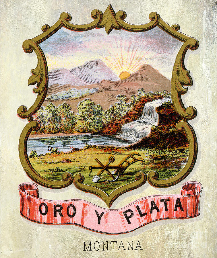 Montana Photograph - Montana Coat of Arms 1876 by Jon Neidert