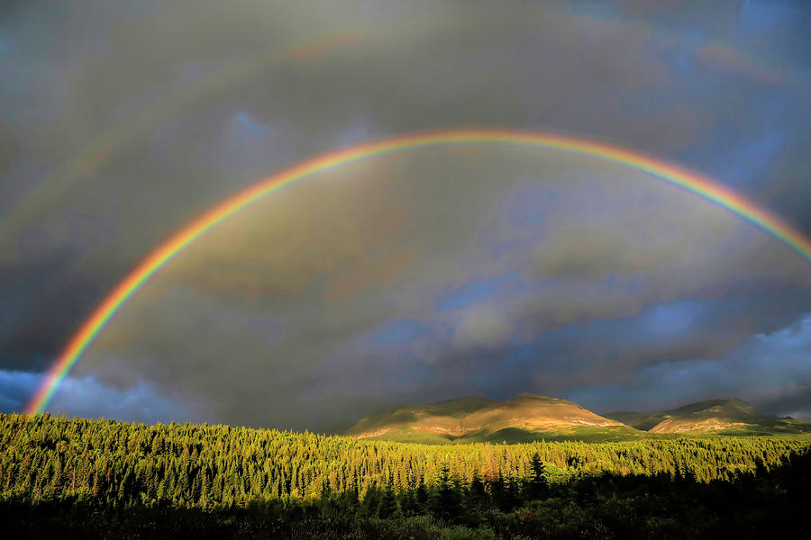 Montana Double Rainbow Photograph by Donna Kennedy