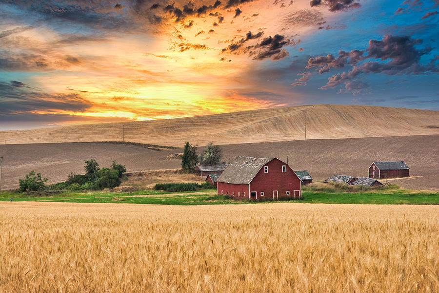 Montana farm with Buildings Photograph by Randall Branham - Fine Art ...