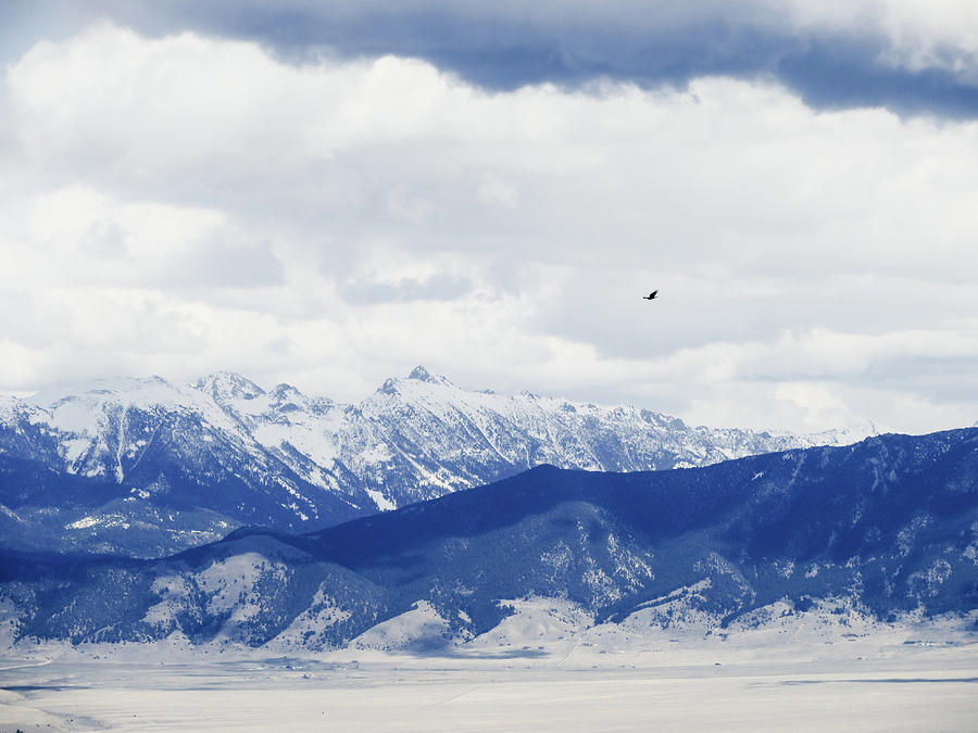 Montana Flight Photograph by Rachel Morrison