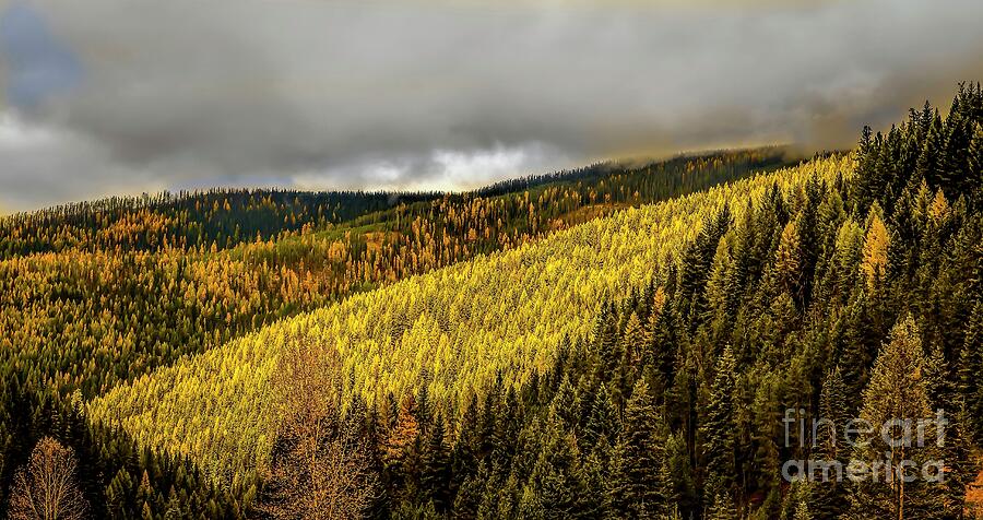 Mountain Photograph - Montana Highways by Jon Burch Photography