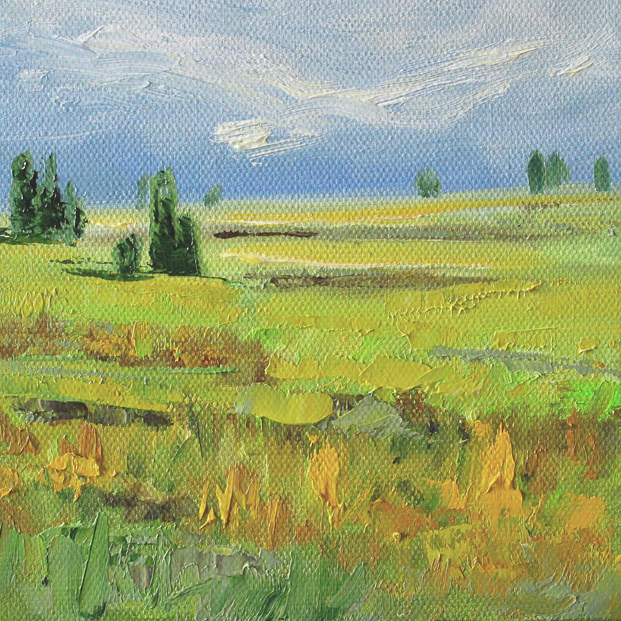 Montana Meadow Painting by Nancy Merkle