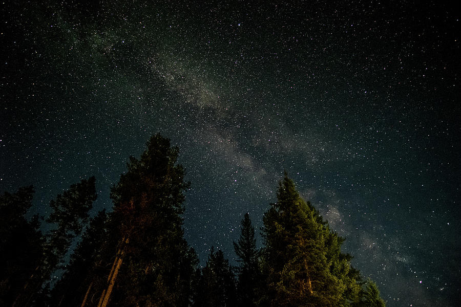 Montana night sky Photograph by Alberto Zanoni