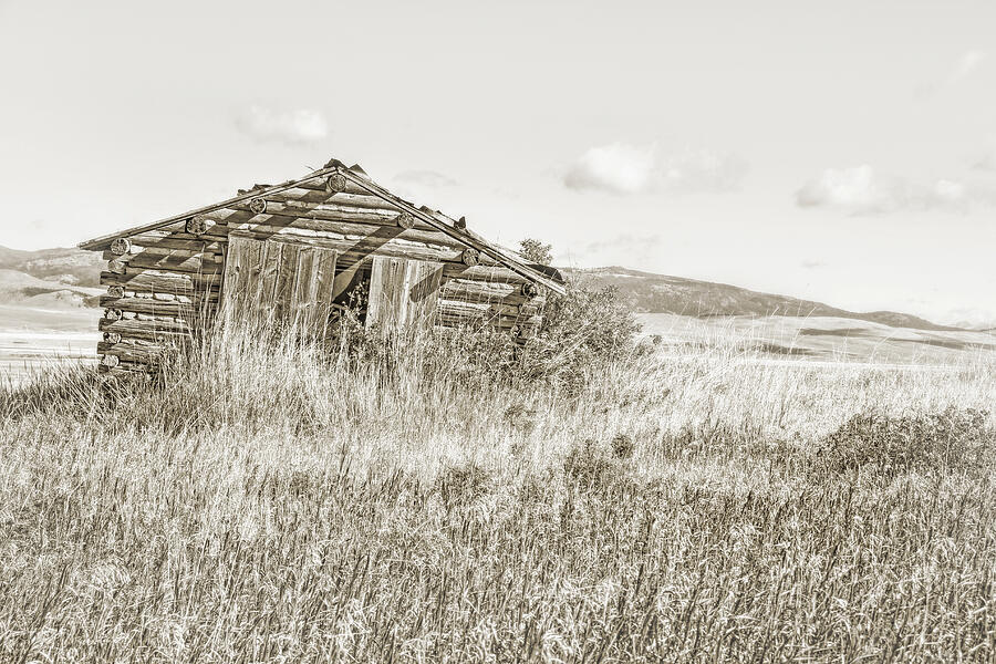 Montana Old Rustic Log Cabin Sepia  Photograph by Jennie Marie Schell
