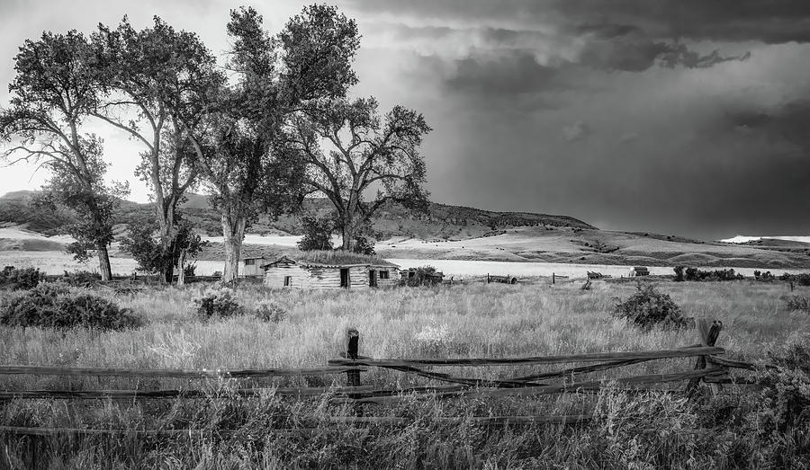 Montana Sod Home, Black and White Photograph by Marcy Wielfaert