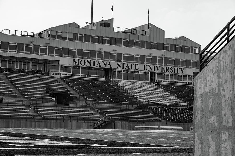 Montana State University Bobcat Stadium in black ans white Photograph by Eldon McGraw