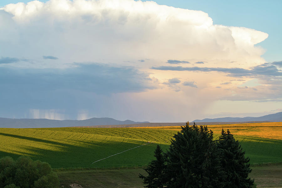 Montana Summer Storm Cloud Photograph by Bruce Gourley