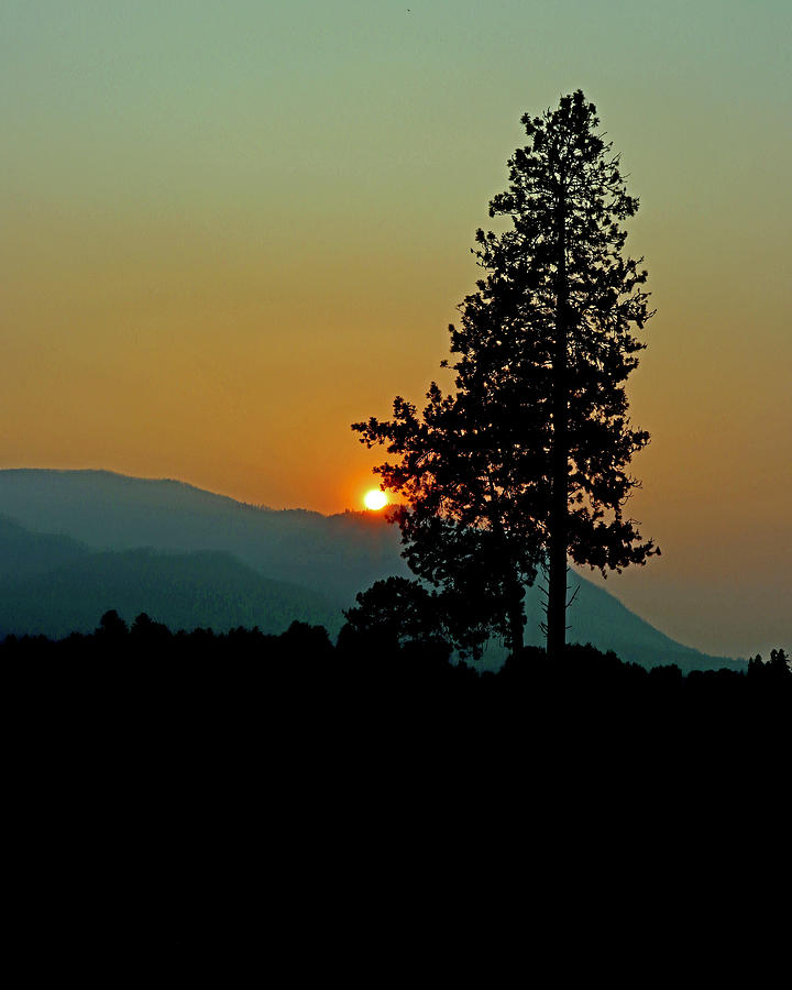 Montana Sunset Photograph by Sarah Lilja
