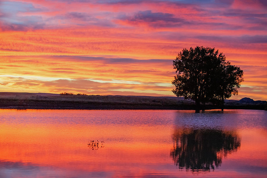 Montana Sunset Photograph by Todd Klassy