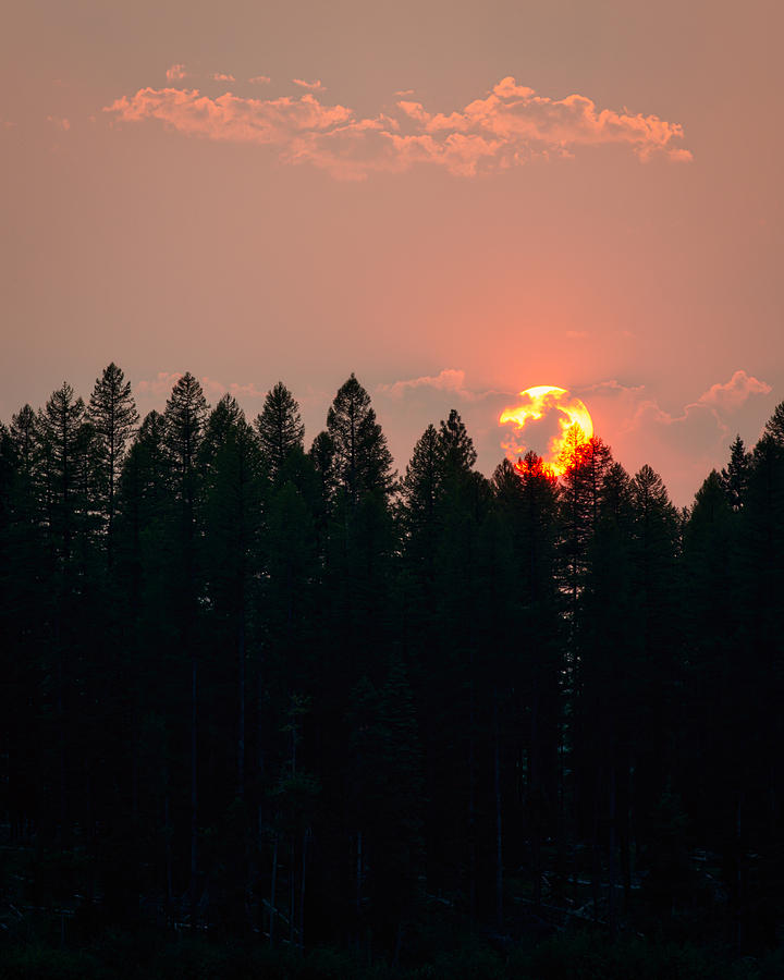 Montana Wildfire Sunset Photograph by Matt Hammerstein