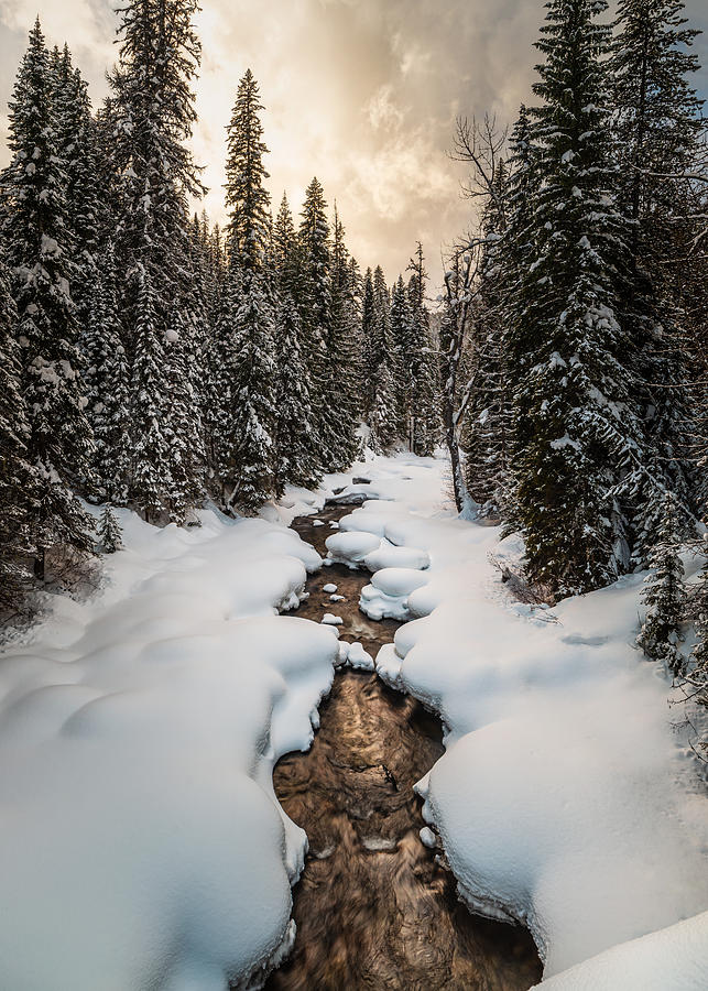 Montana Winter Creek 2 Photograph by Matt Hammerstein