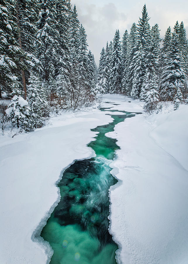 Montana Winter Creek Photograph by Matt Hammerstein
