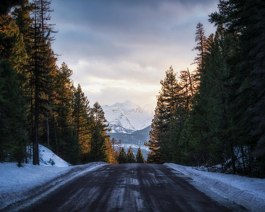 Montana Winter Road Photograph by Matt Hammerstein