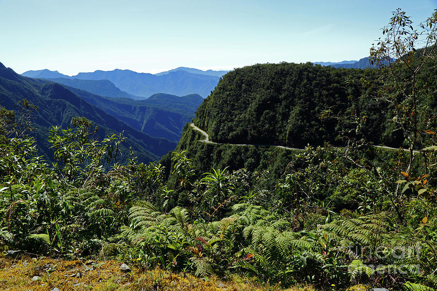 Montane forest vegetation and Death Road Yungas Bolivia Photograph by James Brunker