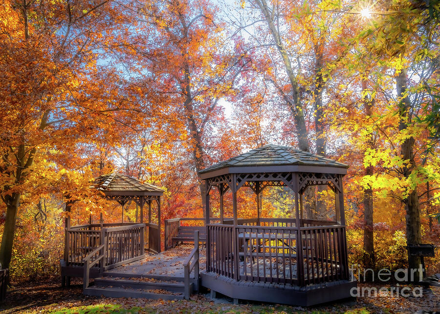 Tree Photograph - Montebello Autumn Fantasy #6 by Donald Savage