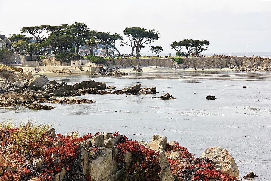 Monterey 3 Photograph by Masha Batkova