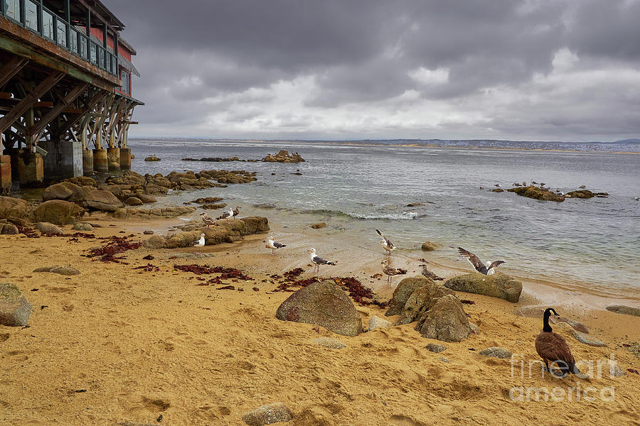 Monterey Bay Photograph by Steve Ondrus