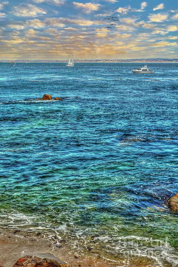 Monterey Bay Vertical Scenic Photograph