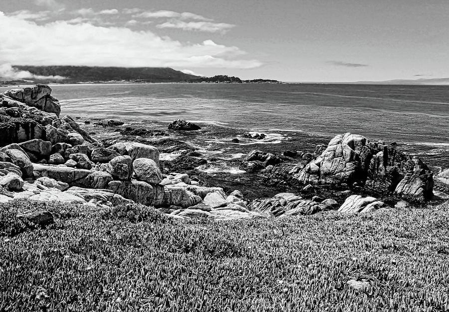 Monterey Black and White Photograph by Judy Vincent