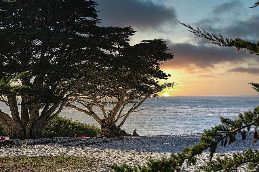 Monterey Carmel Beach Landscape California  Photograph by Chuck Kuhn