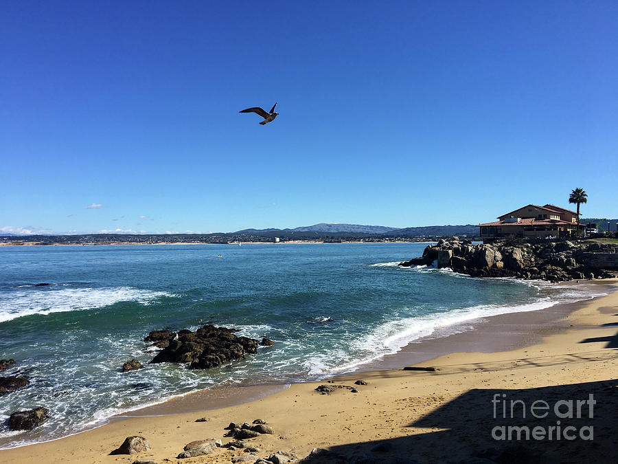 Monterey Coast From Cannery Row Photograph by Suzanne Luft