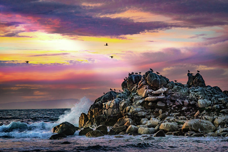 Bird Photograph - Monterey Coast Sunset with Seabirds by Janis Knight