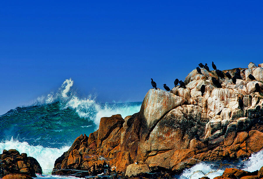 Monterey Day Photograph by Jim Signorelli
