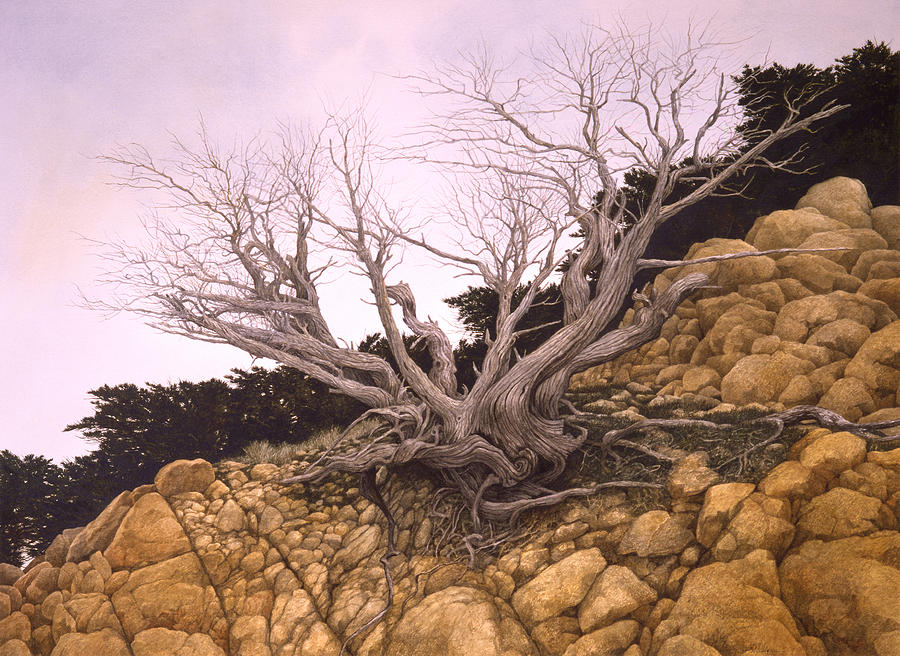 Monterey Elder Painting by Tom Wooldridge