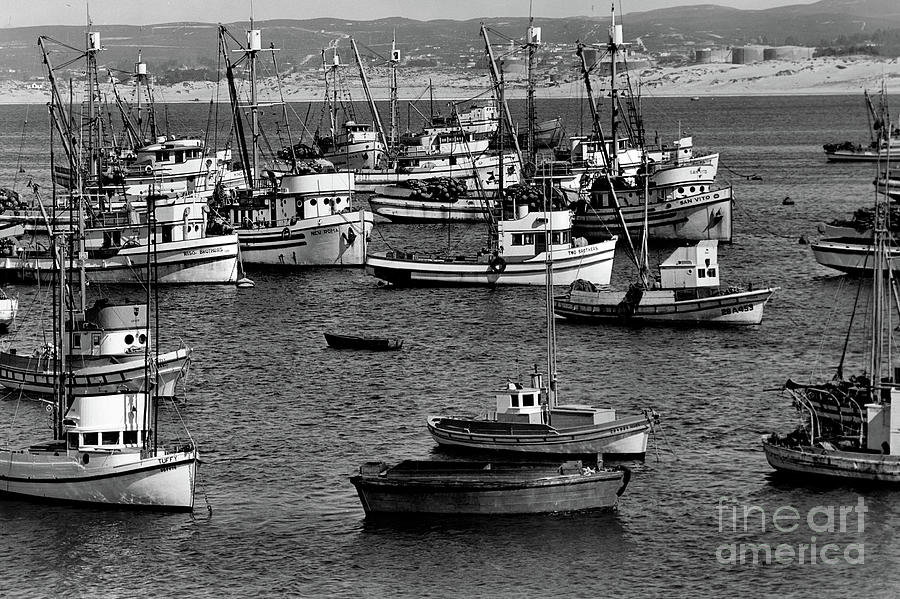 Two Brothers Photograph - Monterey Fishing Fleet in Harbor March  24, 1948 by Monterey County Historical Society