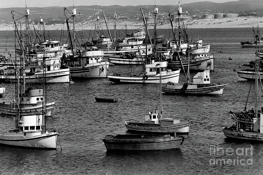 Monterey, Fishing Fleet, Monterey Harbor, New Roma Purse Seine  1948 Photograph