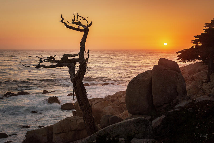Monterey Peninsula VII Color Photograph by David Gordon