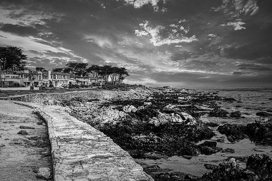 Monterey Seascape Black and White Photograph by Judy Vincent