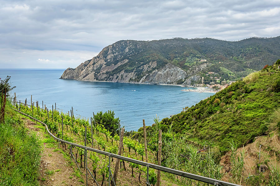Monterosso And Vineyards Cinque Terre Italy Photograph