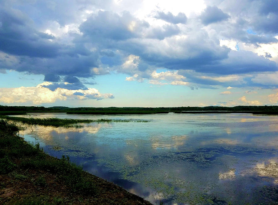 Montezuma National Wildlife Refuge II Photograph by Curtis Boggs - Fine ...