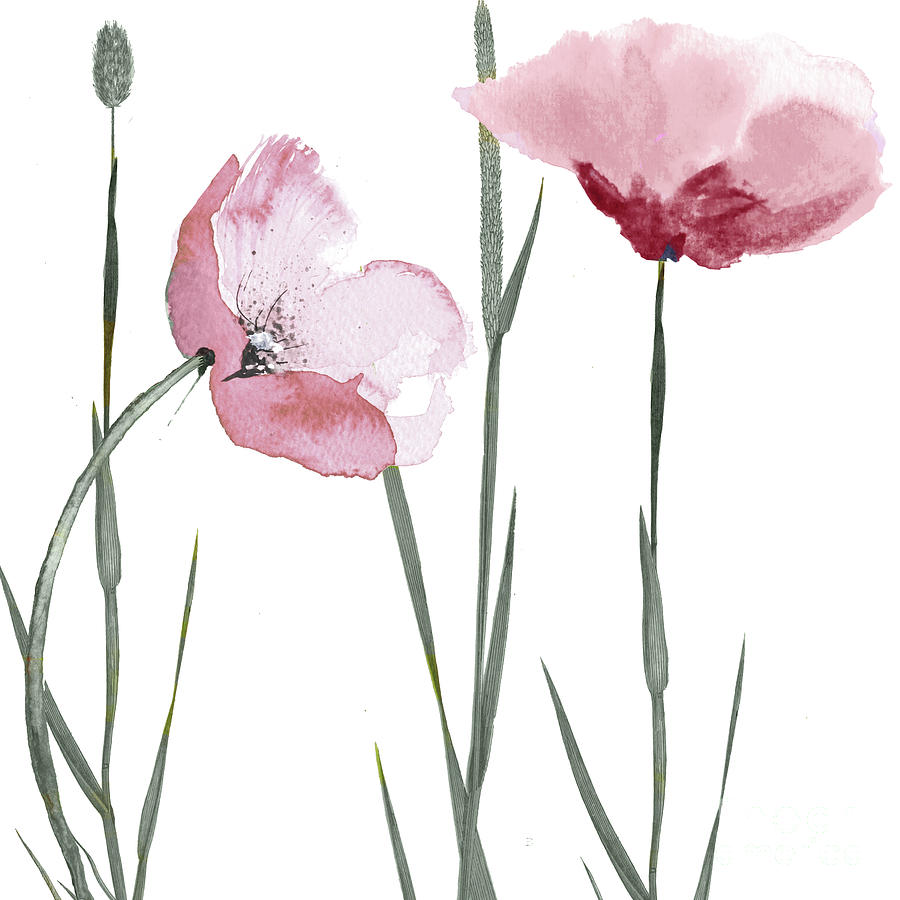 Poppy Painting - Month of Sage III by Mindy Sommers
