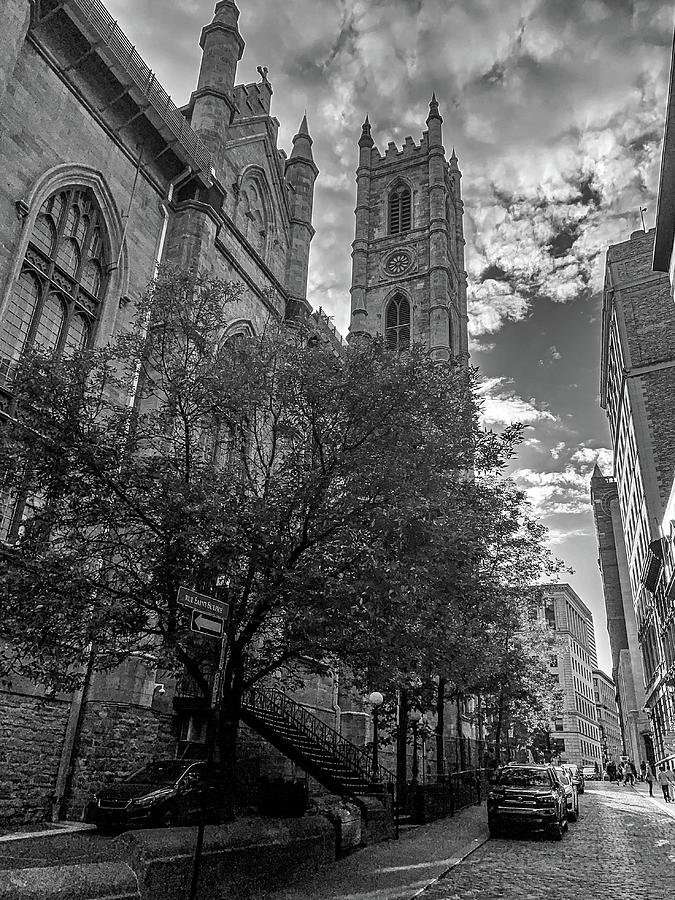 Montreal Notre Dame Photograph by Jim Feldman